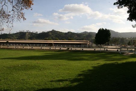 Enlarge photo 17