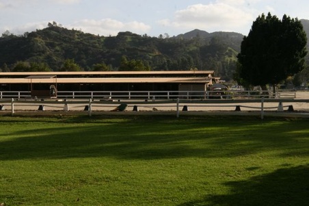 Enlarge photo 18