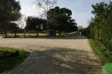 Enlarge photo 26