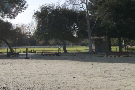 Enlarge photo 28