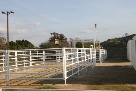 Enlarge photo 30
