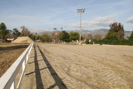 Enlarge photo 31