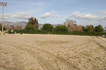 Enlarge photo 32