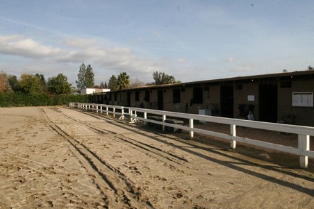 Enlarge photo 33