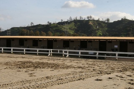 Enlarge photo 35