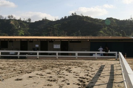 Enlarge photo 37