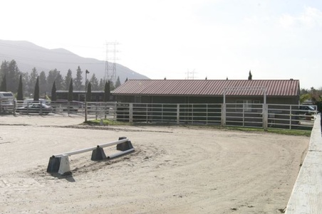 Enlarge photo 45