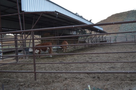 Enlarge photo 16