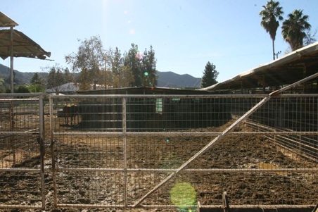 Enlarge photo 23