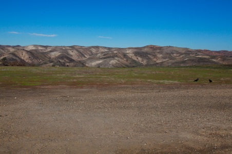Enlarge photo 8