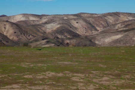 Enlarge photo 12