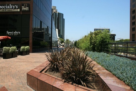 Enlarge photo 78