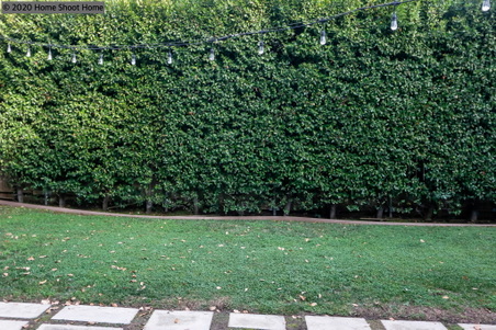 Enlarge photo 50