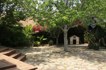 Enlarge photo 61