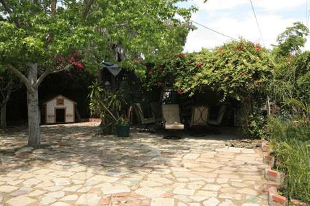 Enlarge photo 62