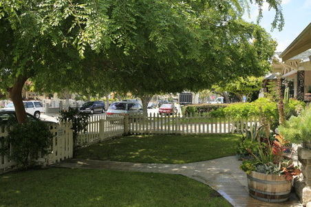 Enlarge photo 65