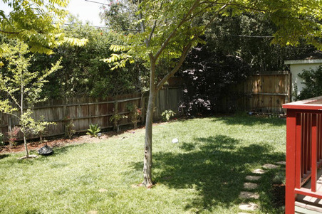 Enlarge photo 55