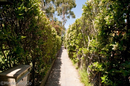 Enlarge photo 61