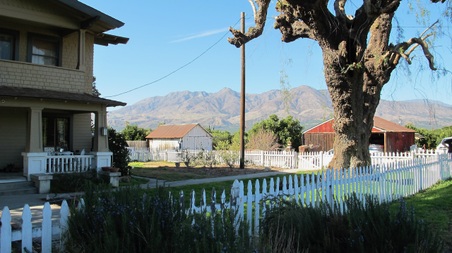 Enlarge photo 32