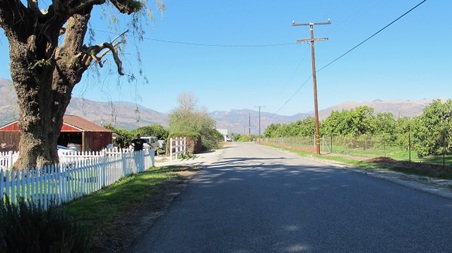 Enlarge photo 33
