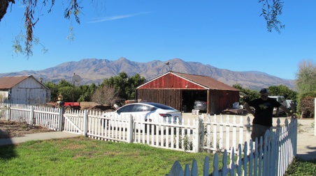 Enlarge photo 36