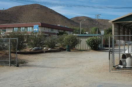 Enlarge photo 34