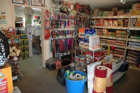 Enlarge photo 40