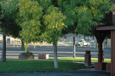 Enlarge photo 42