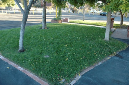 Enlarge photo 43