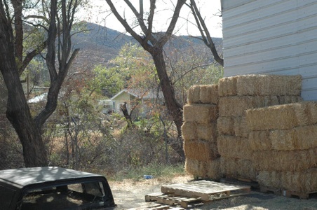 Enlarge photo 20
