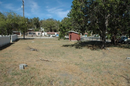Enlarge photo 54
