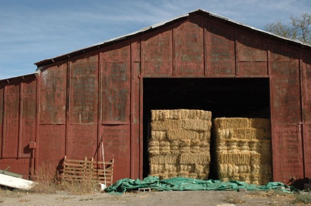 Enlarge photo 55