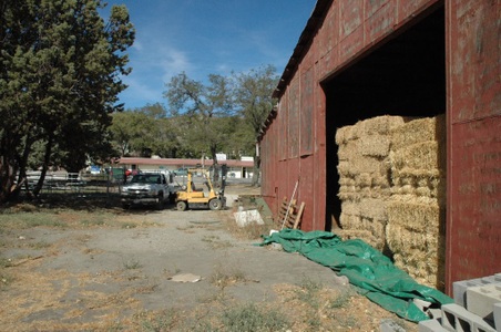 Enlarge photo 56