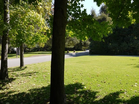 Enlarge photo 12