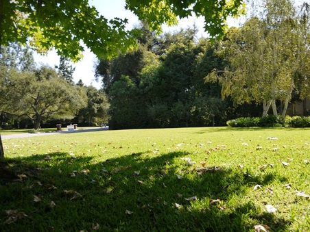 Enlarge photo 15