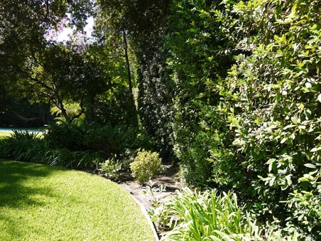 Enlarge photo 20