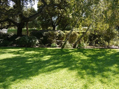 Enlarge photo 33