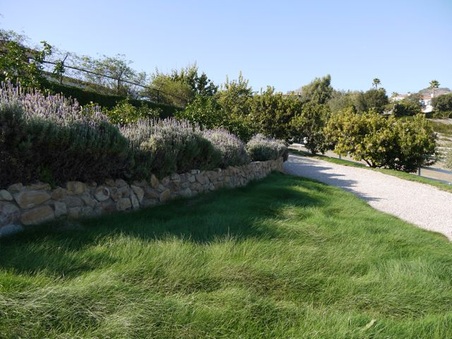 Enlarge photo 33