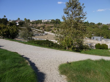 Enlarge photo 34