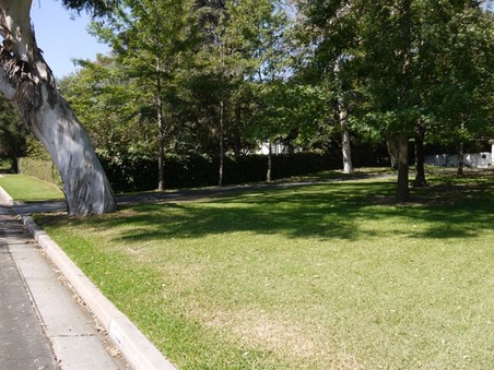 Enlarge photo 2