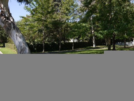 Enlarge photo 57