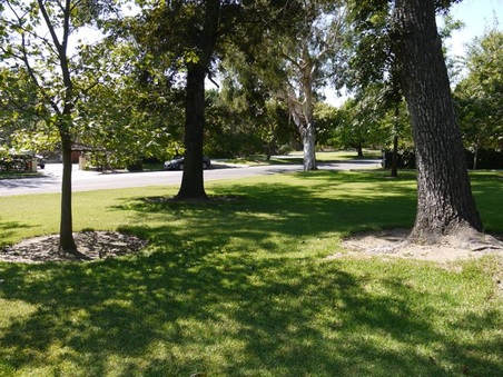 Enlarge photo 12