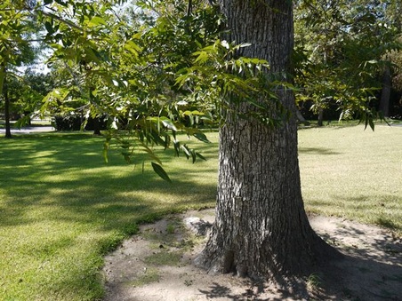 Enlarge photo 16