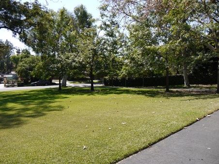 Enlarge photo 19