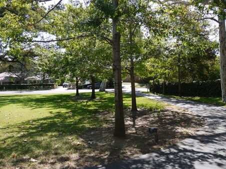 Enlarge photo 23