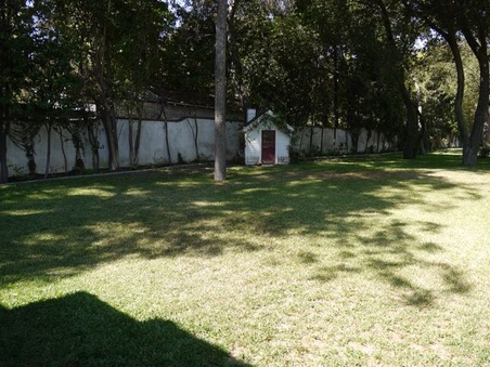 Enlarge photo 26