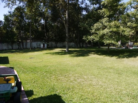 Enlarge photo 31