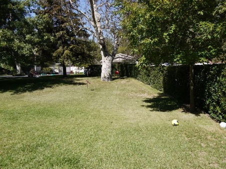Enlarge photo 33