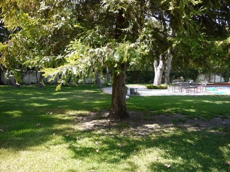Enlarge photo 36