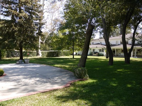 Enlarge photo 40